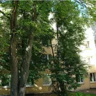 Поликлиническое отделение №3 Фотография 6